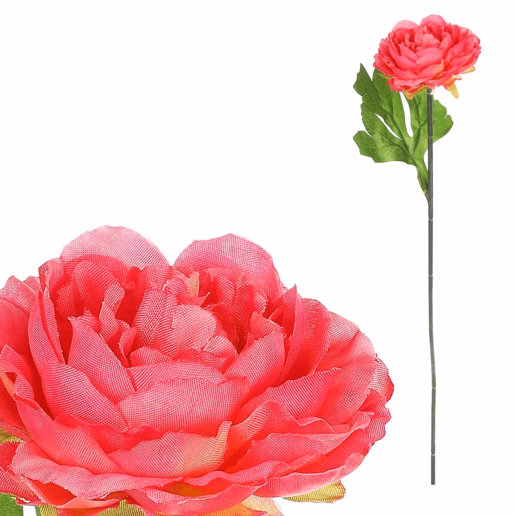 cc21a857ff8097a5d509b1faa3023f98