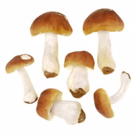 ccc92238768dd3dada236862f200189c
