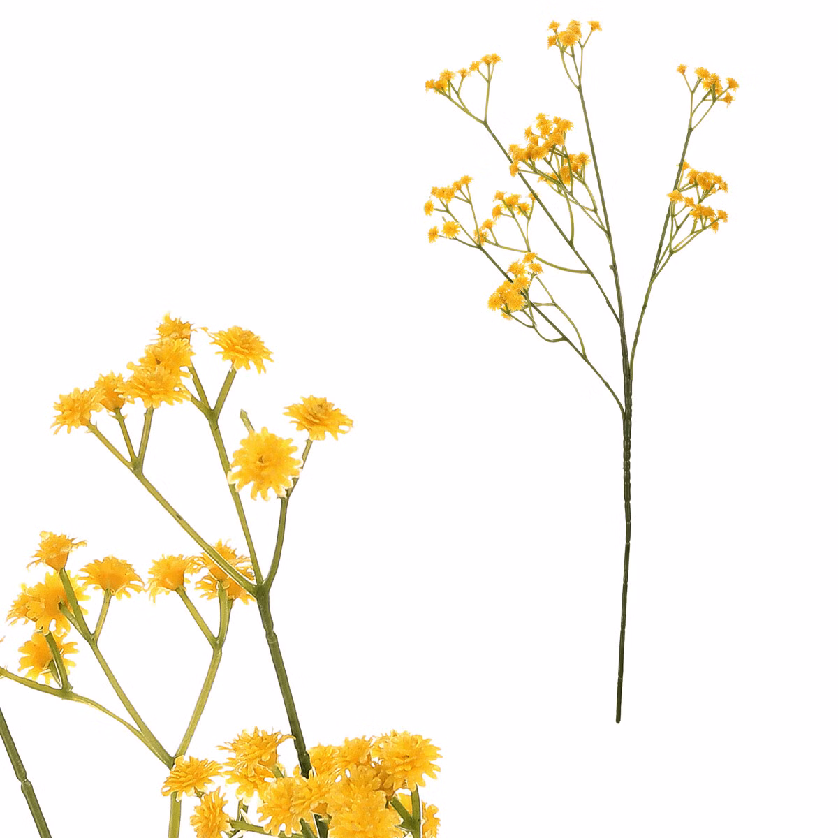 ce1f8edfe58925b767f55d56b58be08e