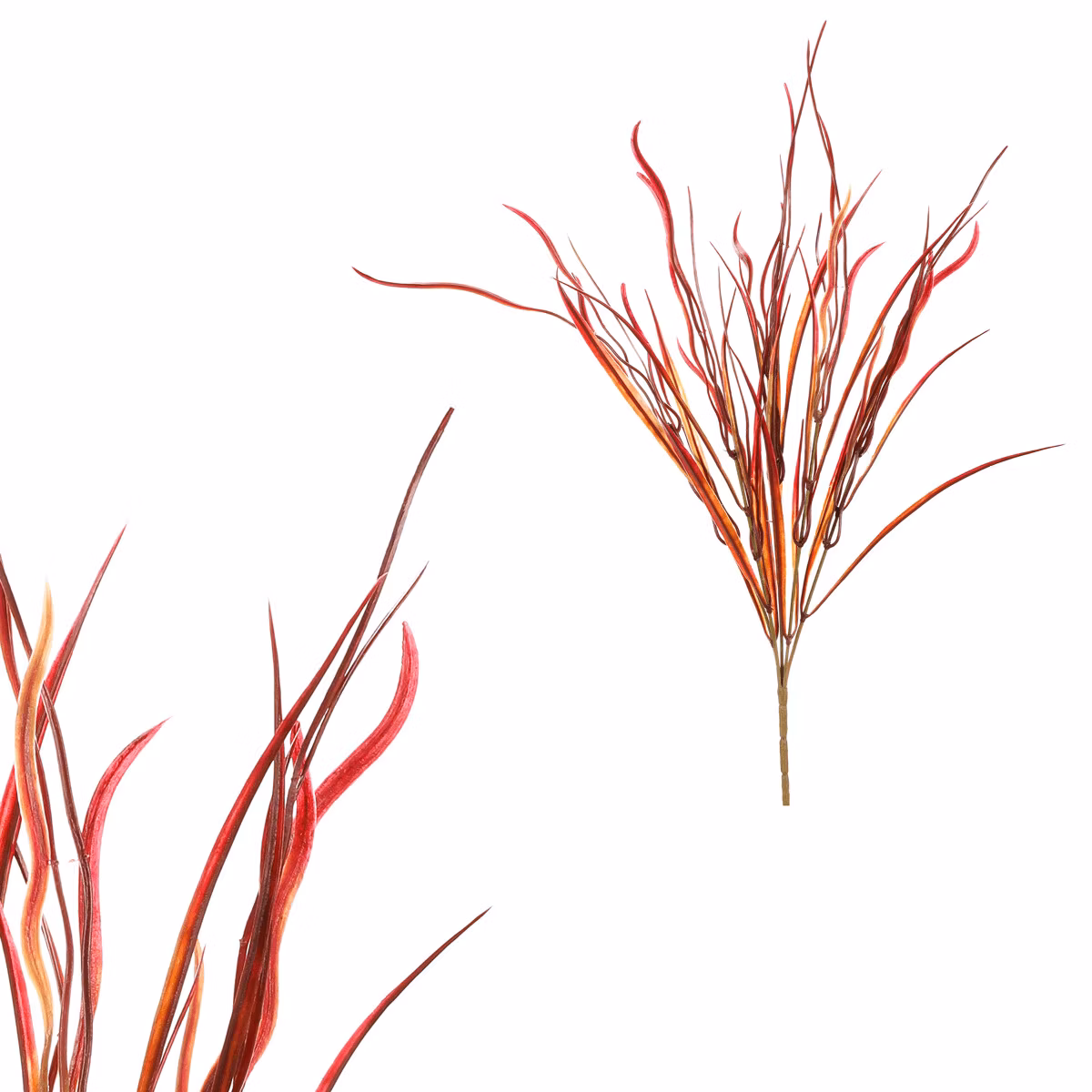 cf2299d0fd590d19e23caacf9c996cba