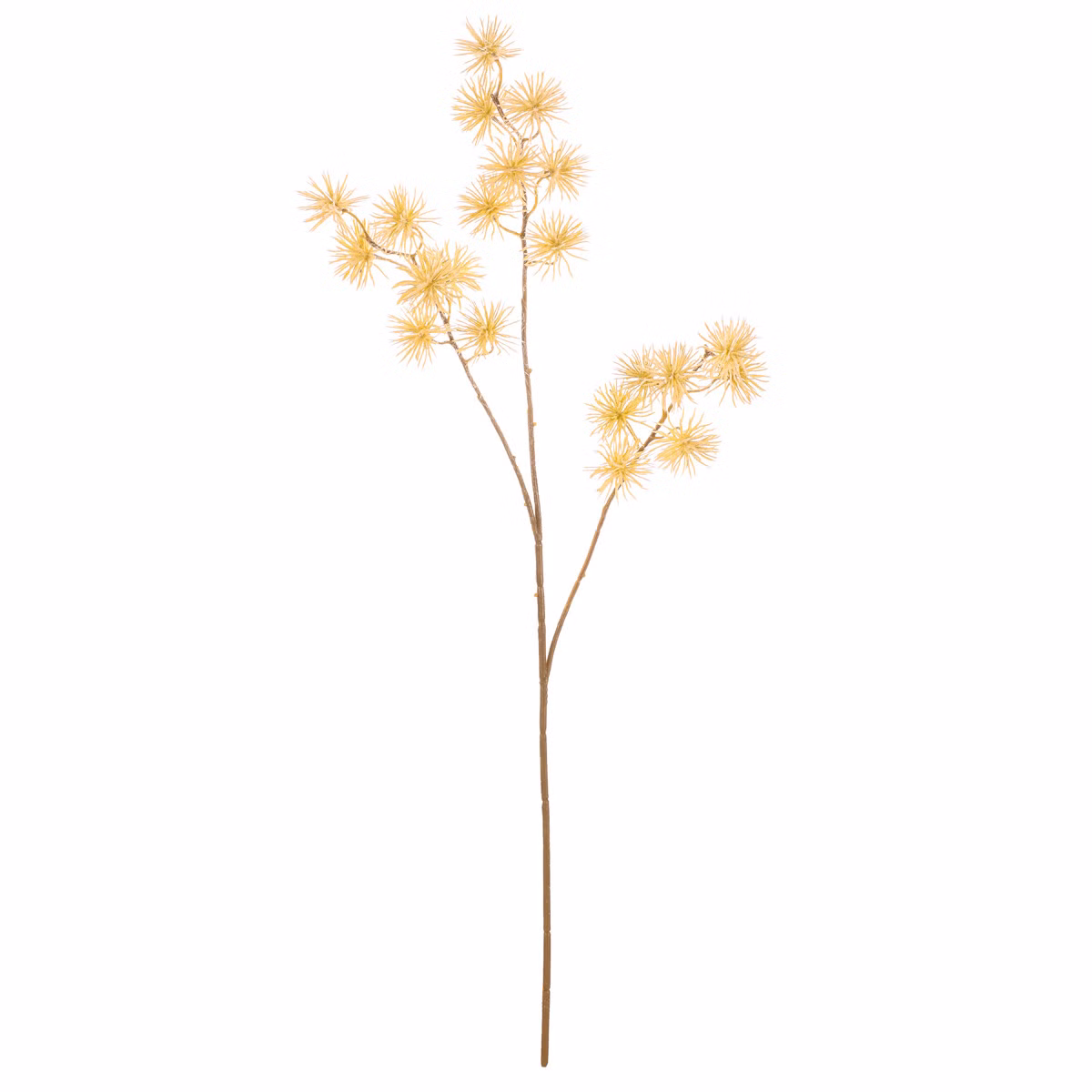 cf6201eb57707af63824b825d0cb009b