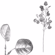 cf8b09ad179497b030511f5b5fd4bfe5