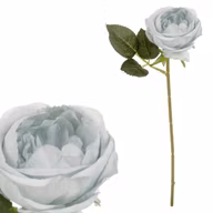 d0221f5c4d24d41758497eb70bff2f06
