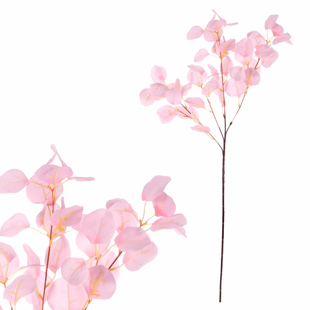 d06945e37fc73bd562cf6ae48cb8139f