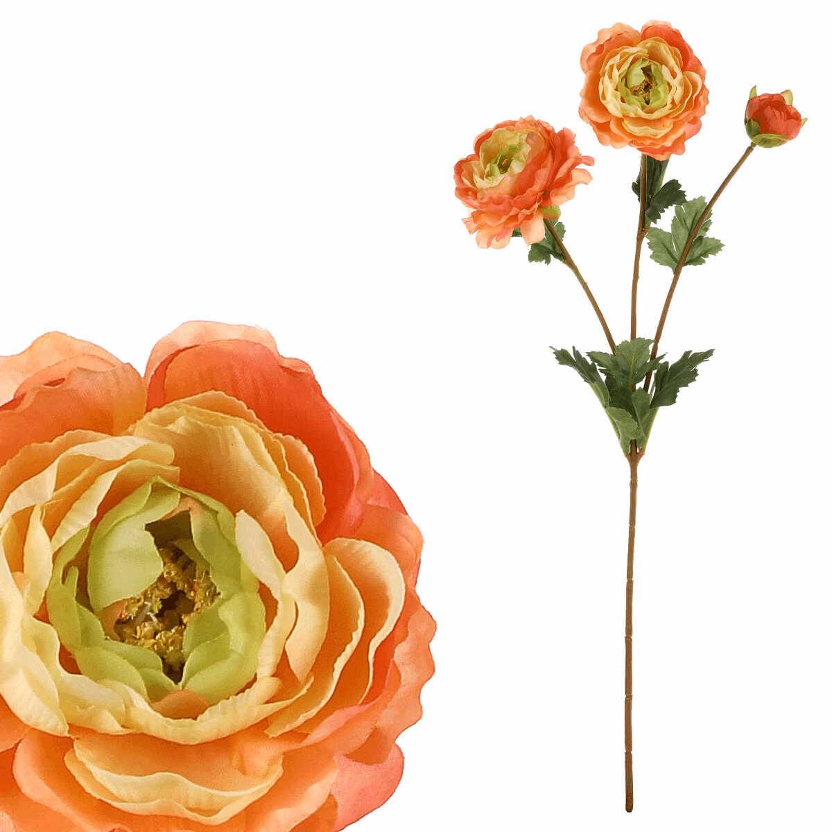 d10ac8b23933c4c2e64fd288cf92d110