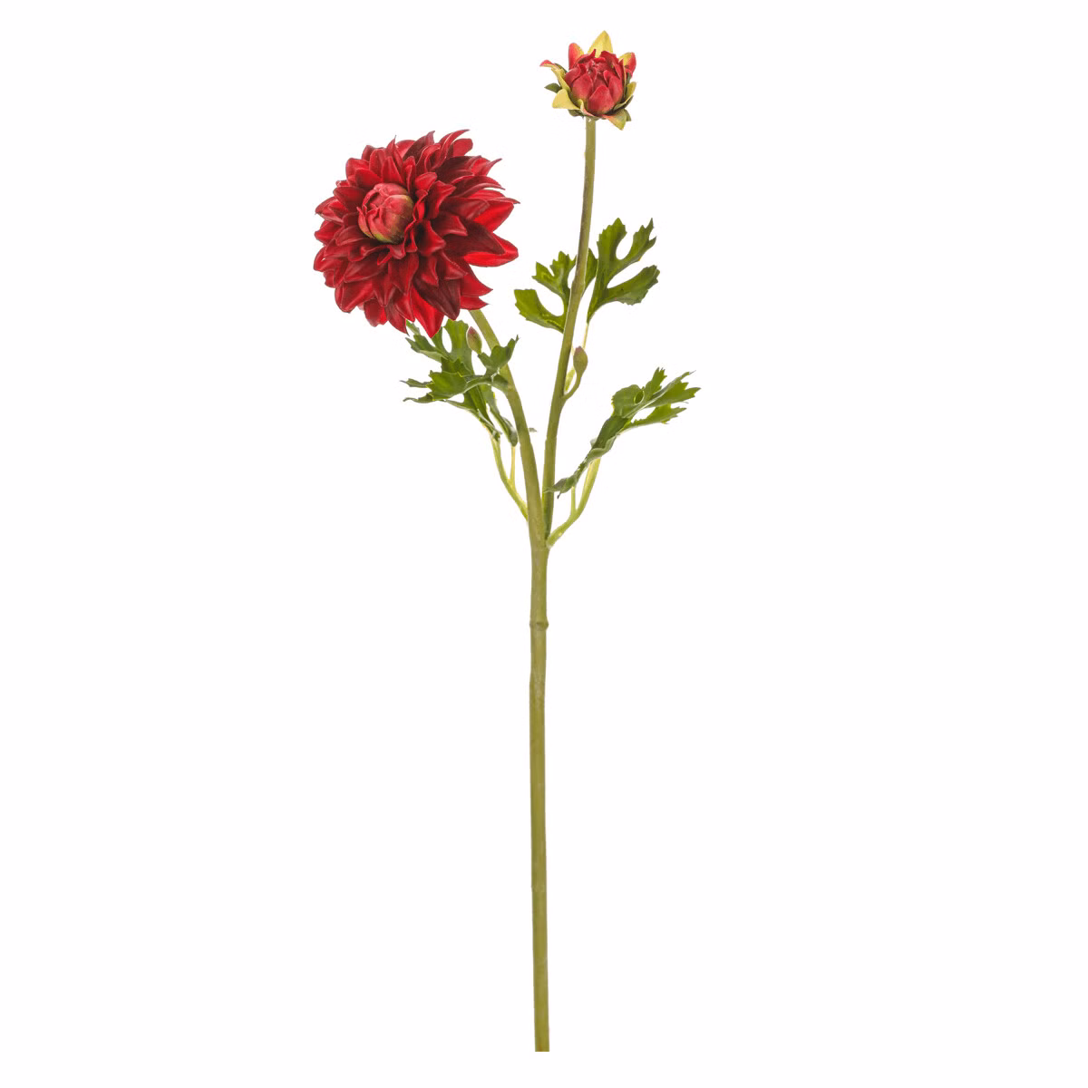 d17e05d996ea0943f119c33023d16e2a