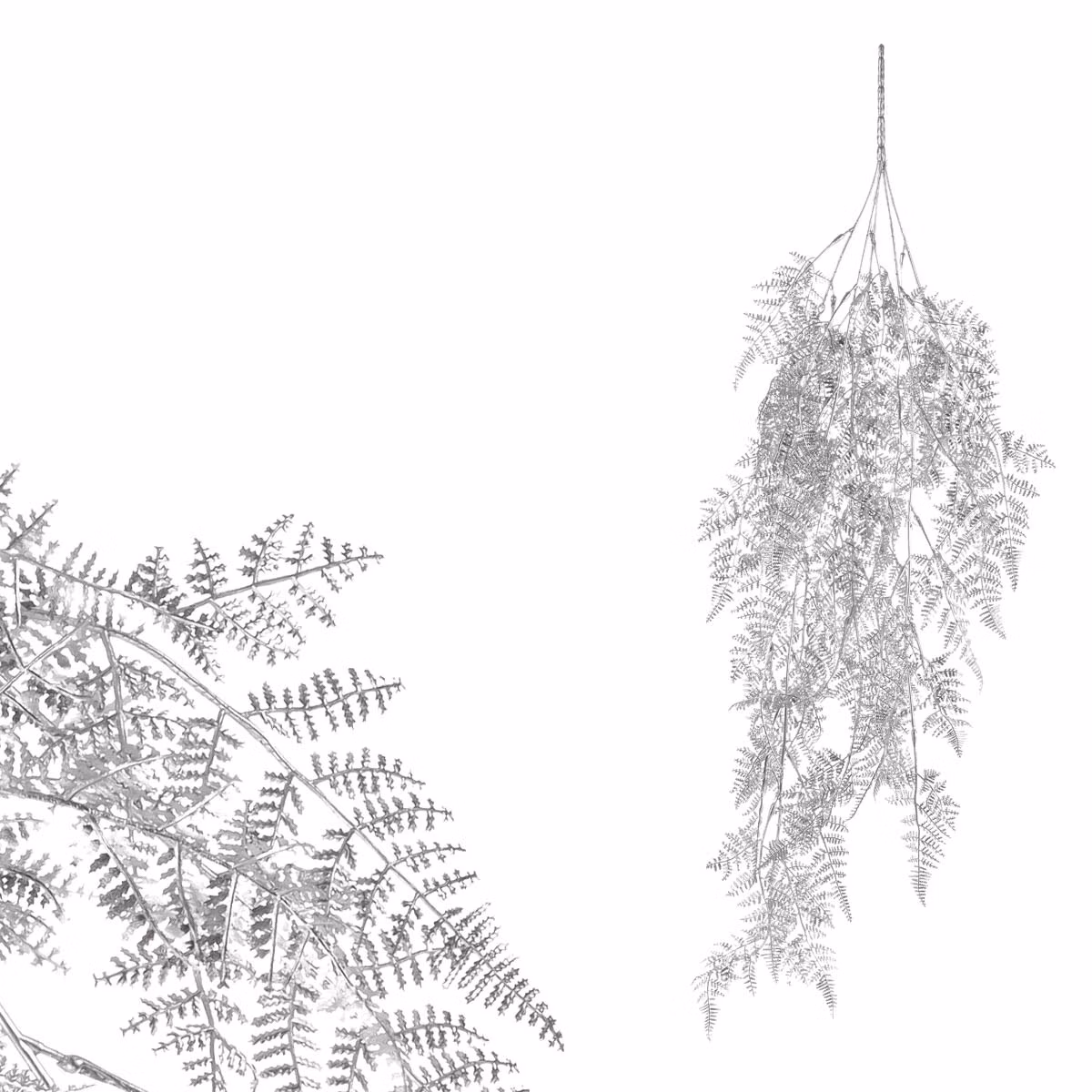 d26a426672a7883975e75c85046bbcf4