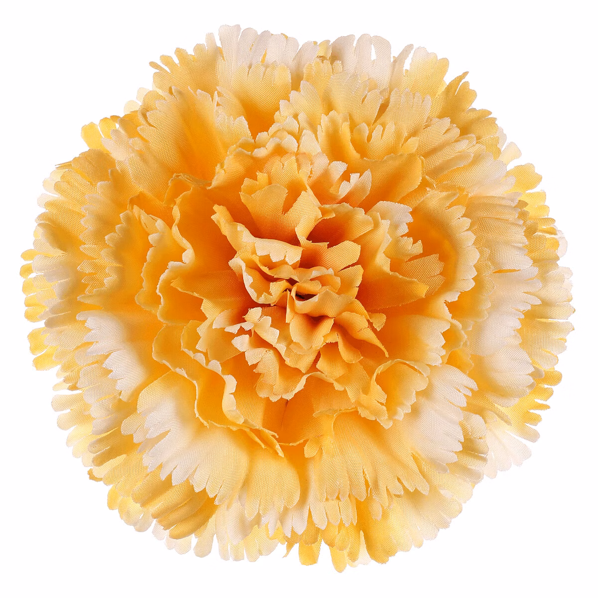 d2953ea4696fc15027cbf9aea624fb78