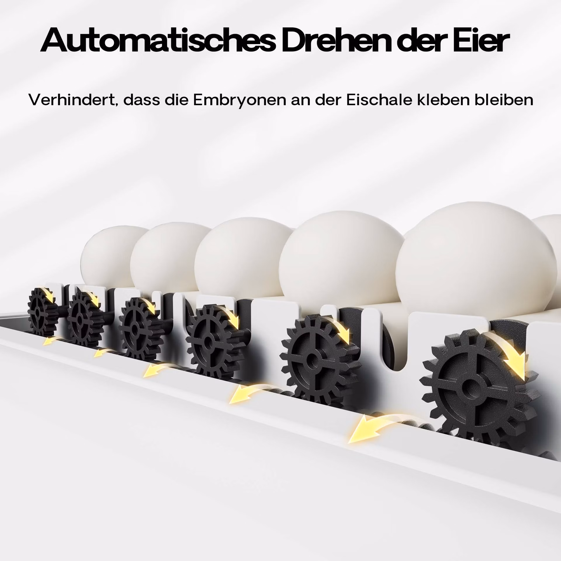 d334e0e4ea8599dbe8c04689f93854d0