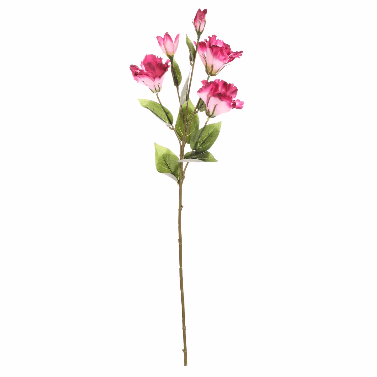 d359c4bbf72931155e23ead955b18dda