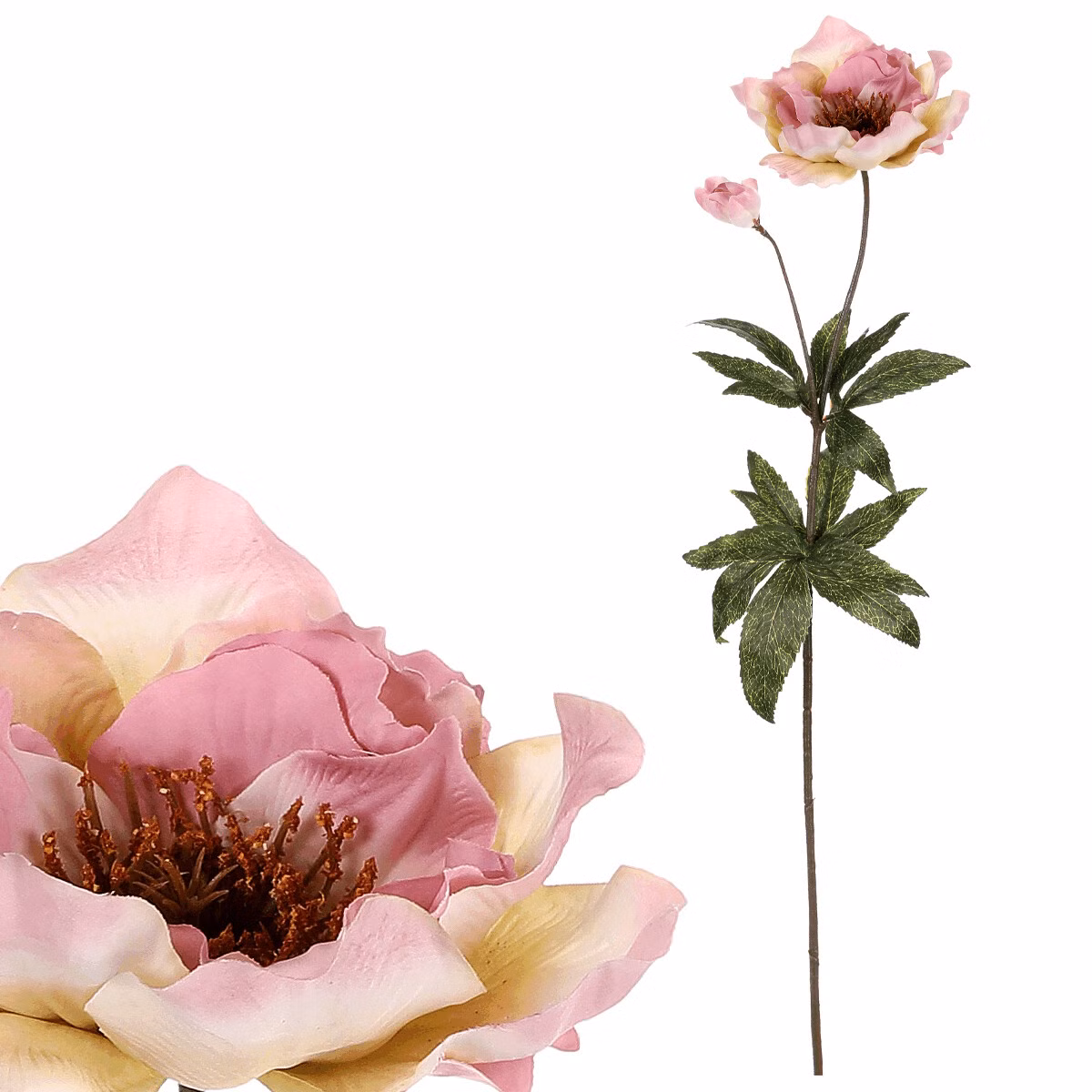 d365155e2388d93e80188e5b86c8ddee