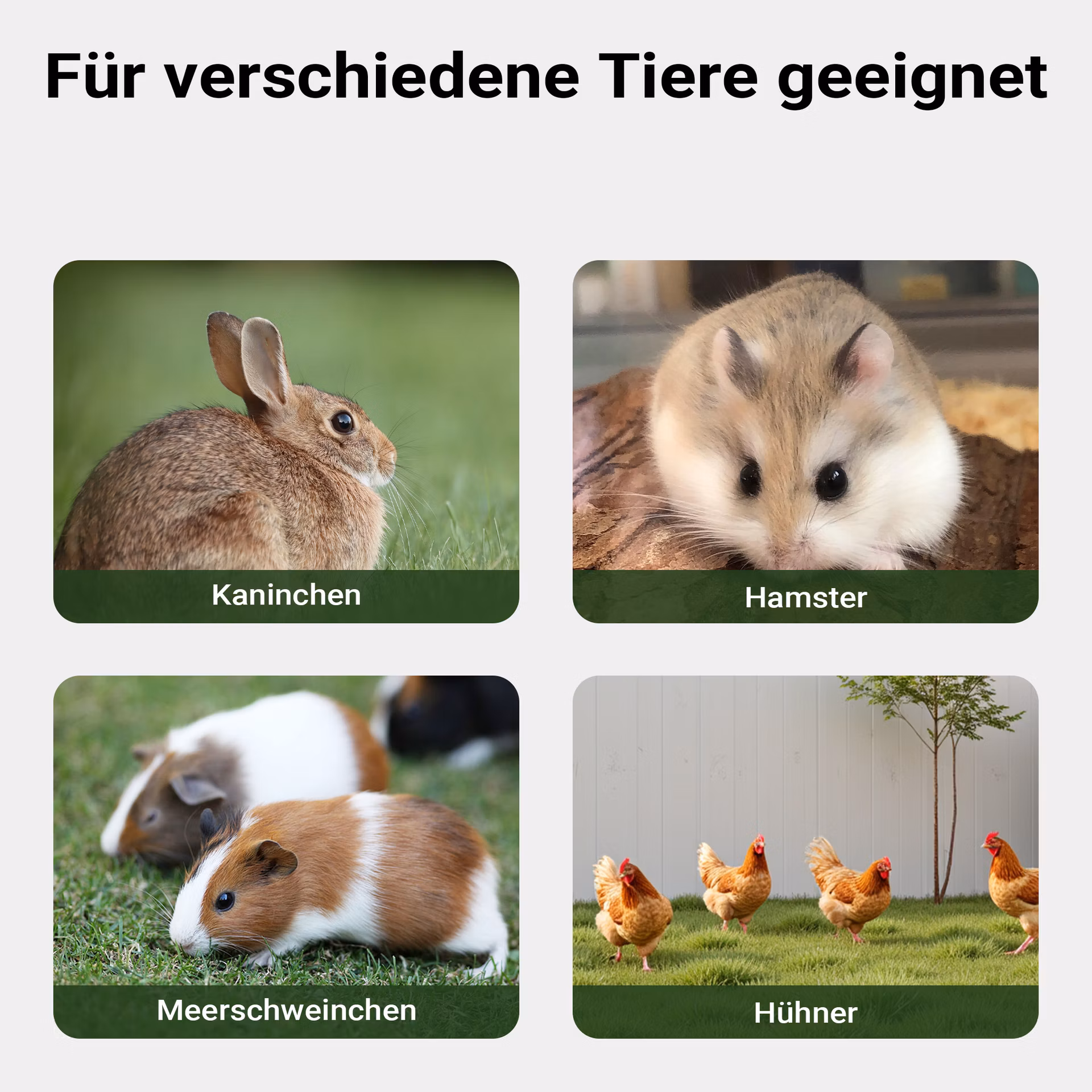 d3a48cf70ef1f889f539348c5b0089e7