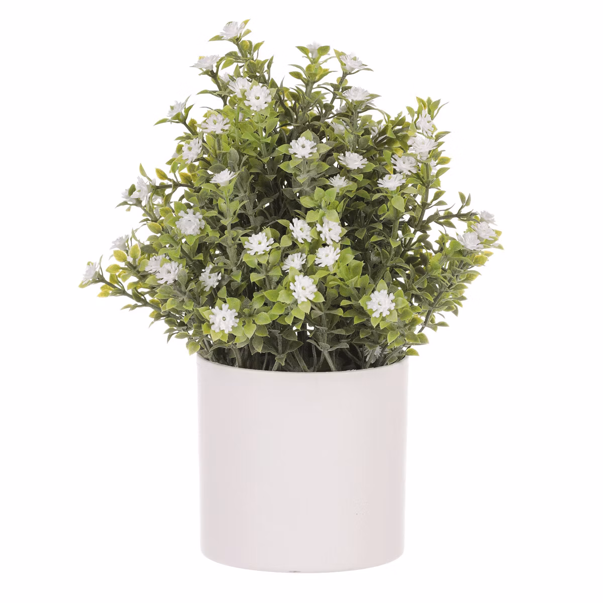 d42b8aa647c58a05a721c9f70dc05e61