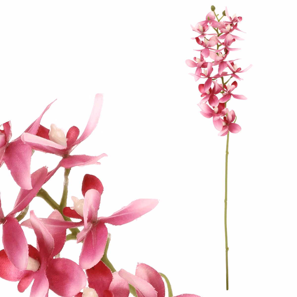 d6df176d9c88d1000ed7576f4200537f