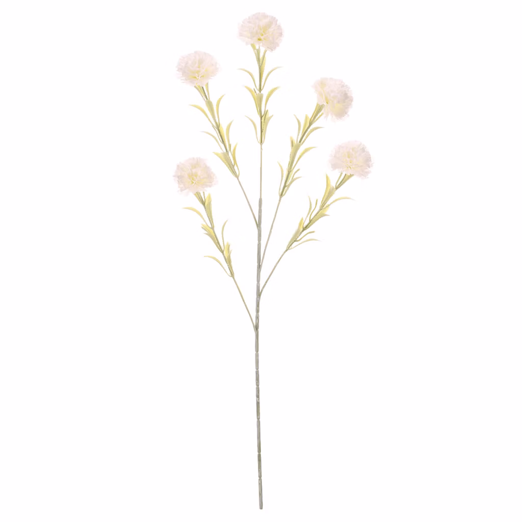 d75bbb676c0816963447d82a4e9de77e