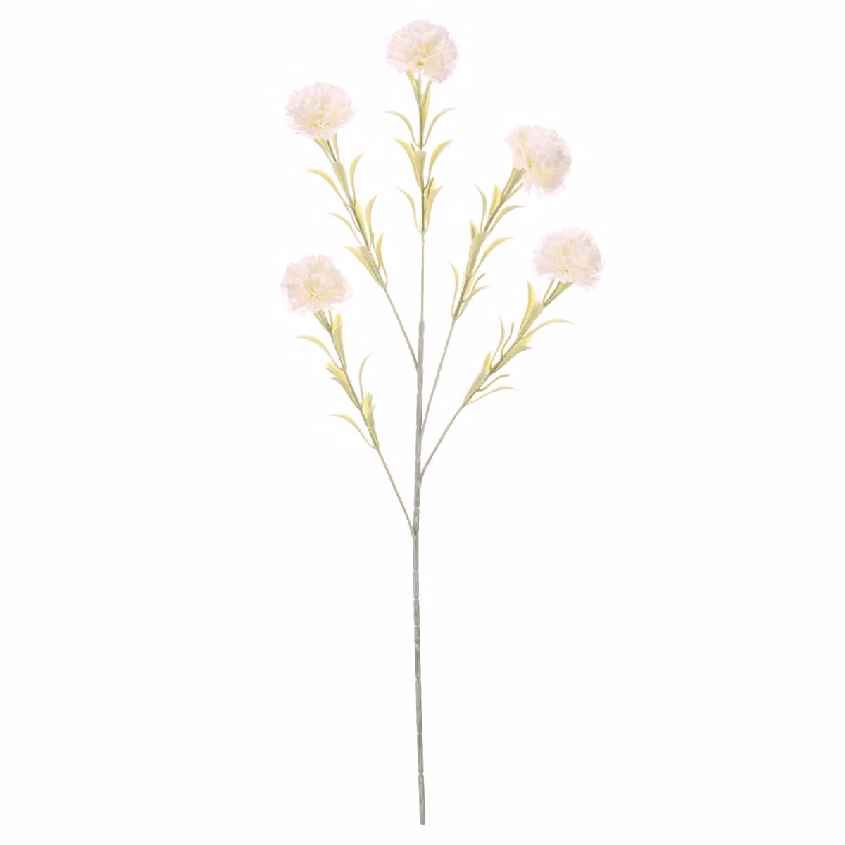 d75bbb676c0816963447d82a4e9de77e