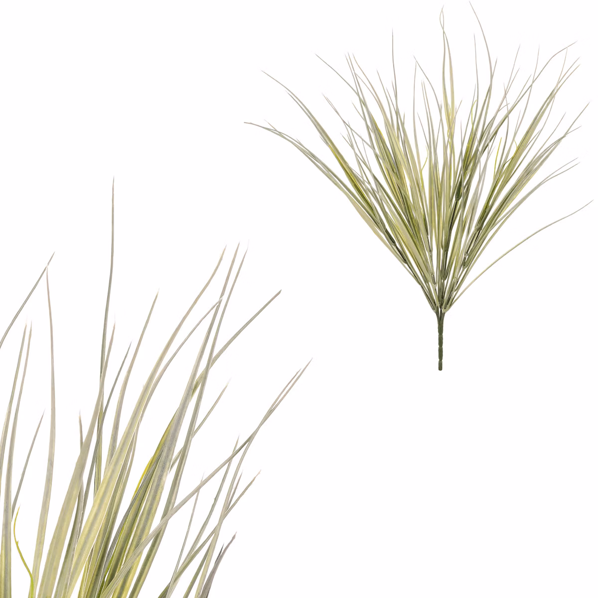 d7a2e9bb0774a63be59f259deb7286d1