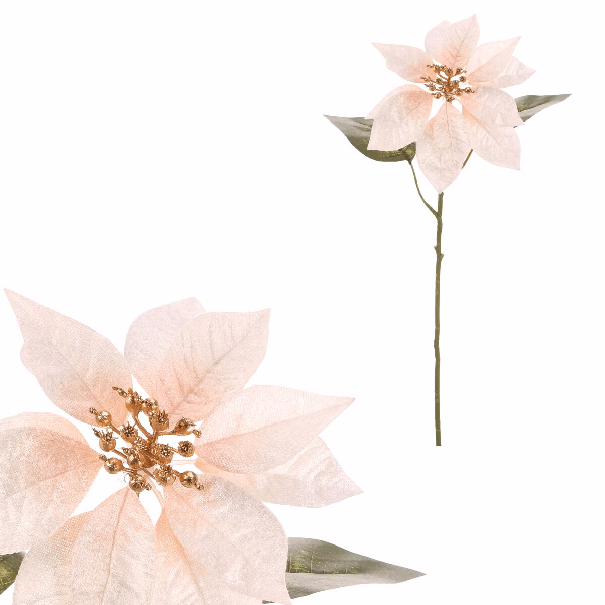 d8894b523a1001a70c71cebcd97035c3