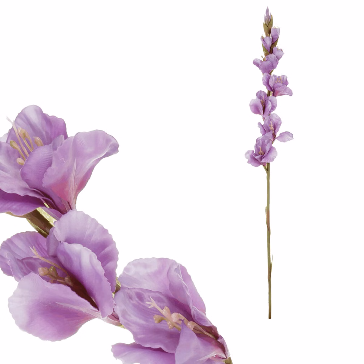 d8c9b4507499ebf3b410a4312096c35f