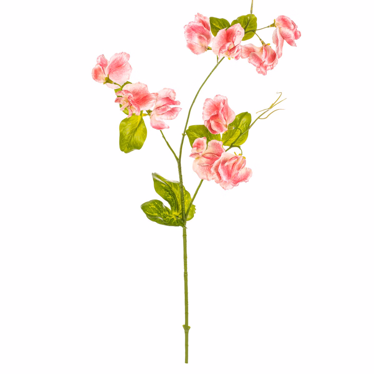 d912f4cc31524bf220728d92c22381e1