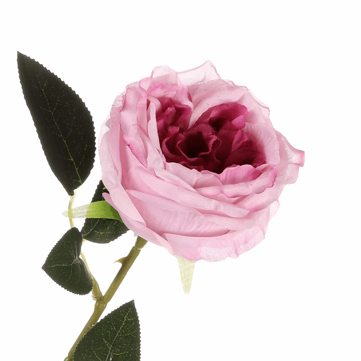 d988af73038aca1033687ad4d75a500d