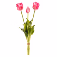daa87ce88e656147d0afd055a0a79fab