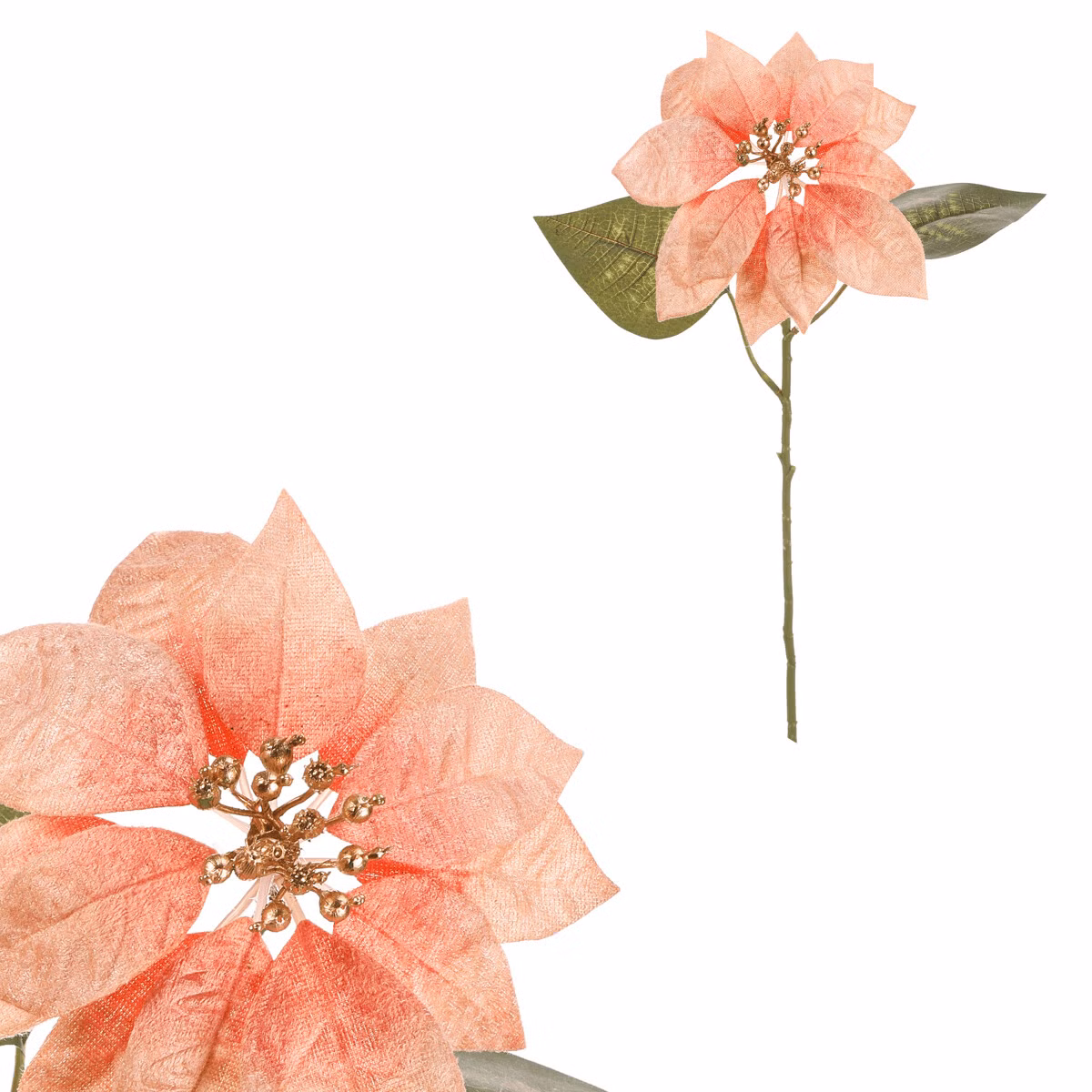 db759082f4891259180481e2d33f4d62