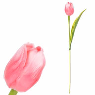 db82dd7ec3ce63d1074bfe4b42111b0d
