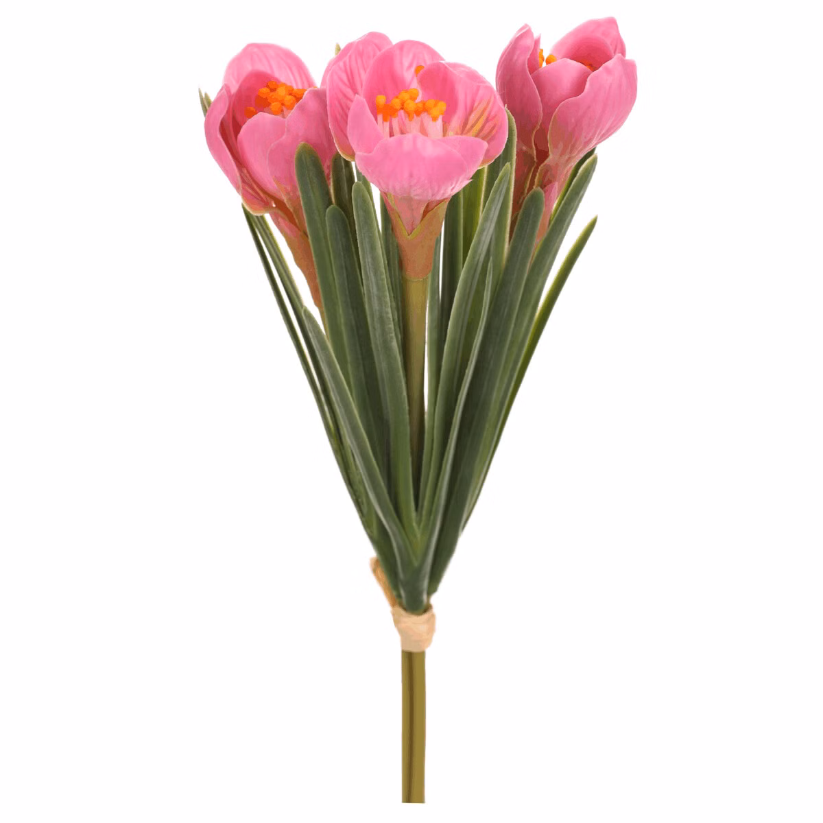 db8ac25fa5ac680d52f7ab0d301d8dab