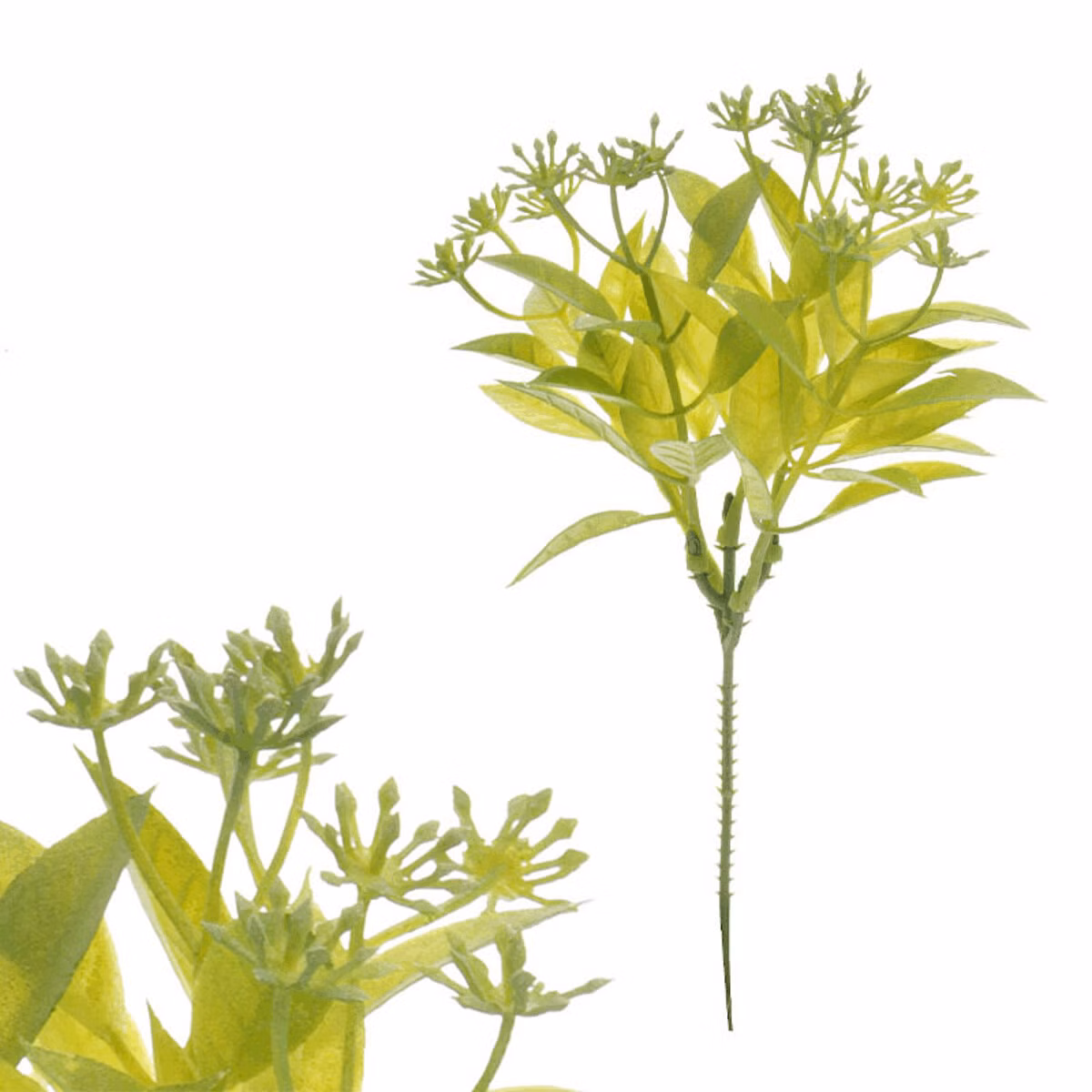 e2d88251470dcec6270d42f844e63f13