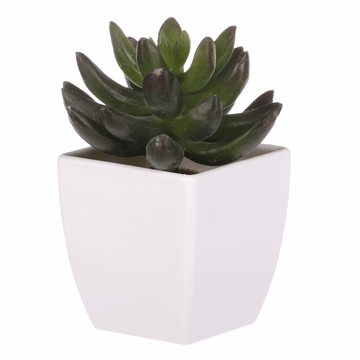 e32316ecd474d21f6af0880a9f557ed7