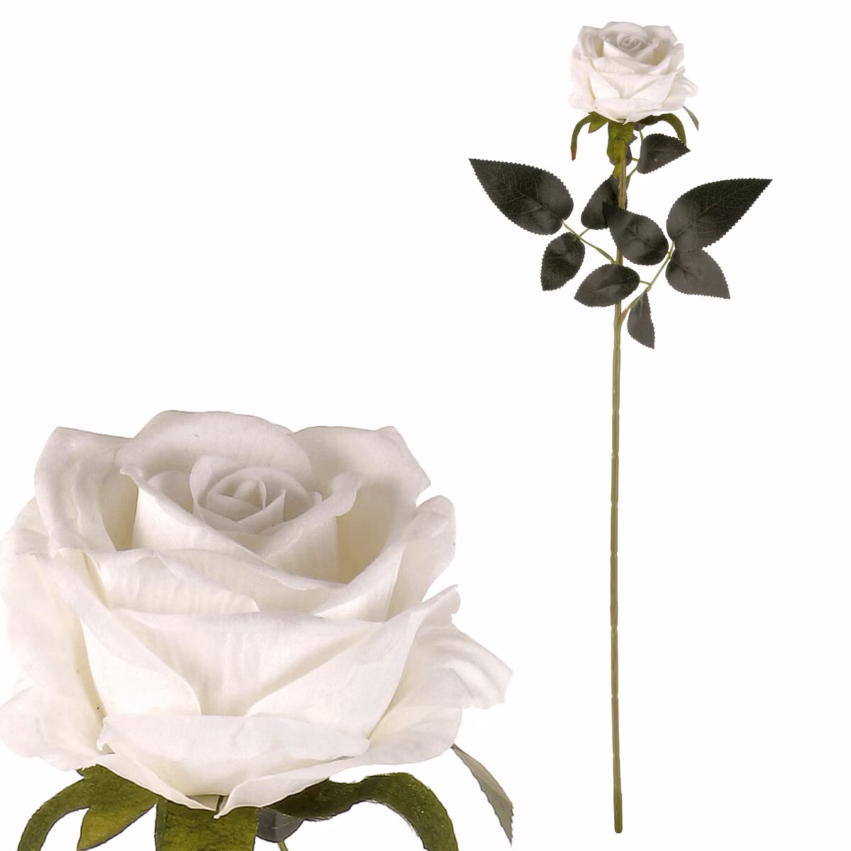 e334a4c950898660a0b7467acad65a4a