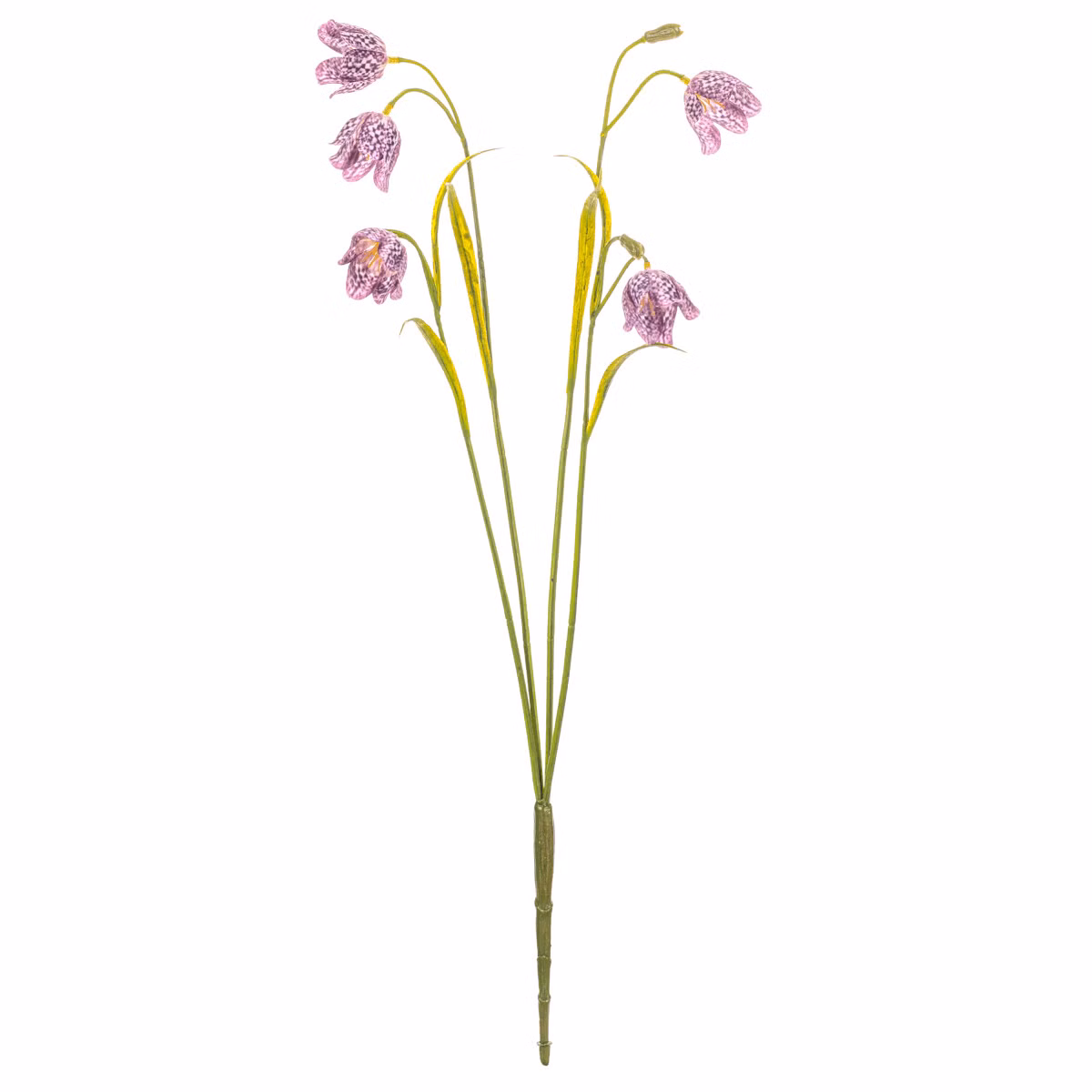 e447fca2eb9ec4ad4b582a75c9616dca