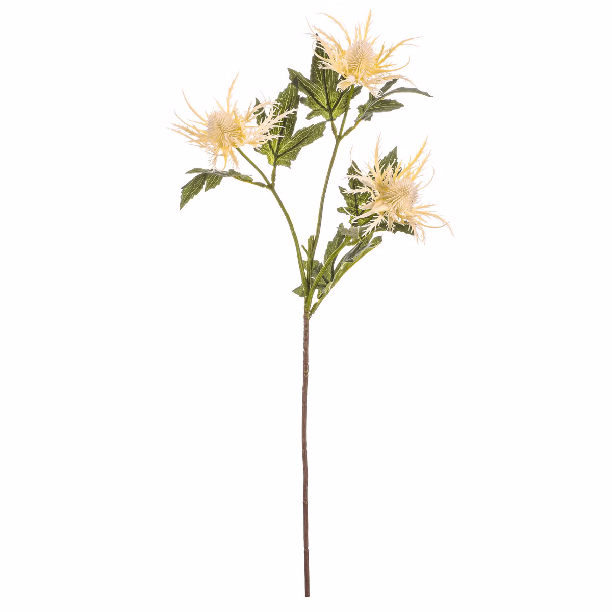 e45e5de9d1ce63c58140bd29c9126698