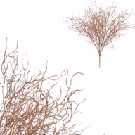 e49ccb30783d56c0e2642361f2118a78