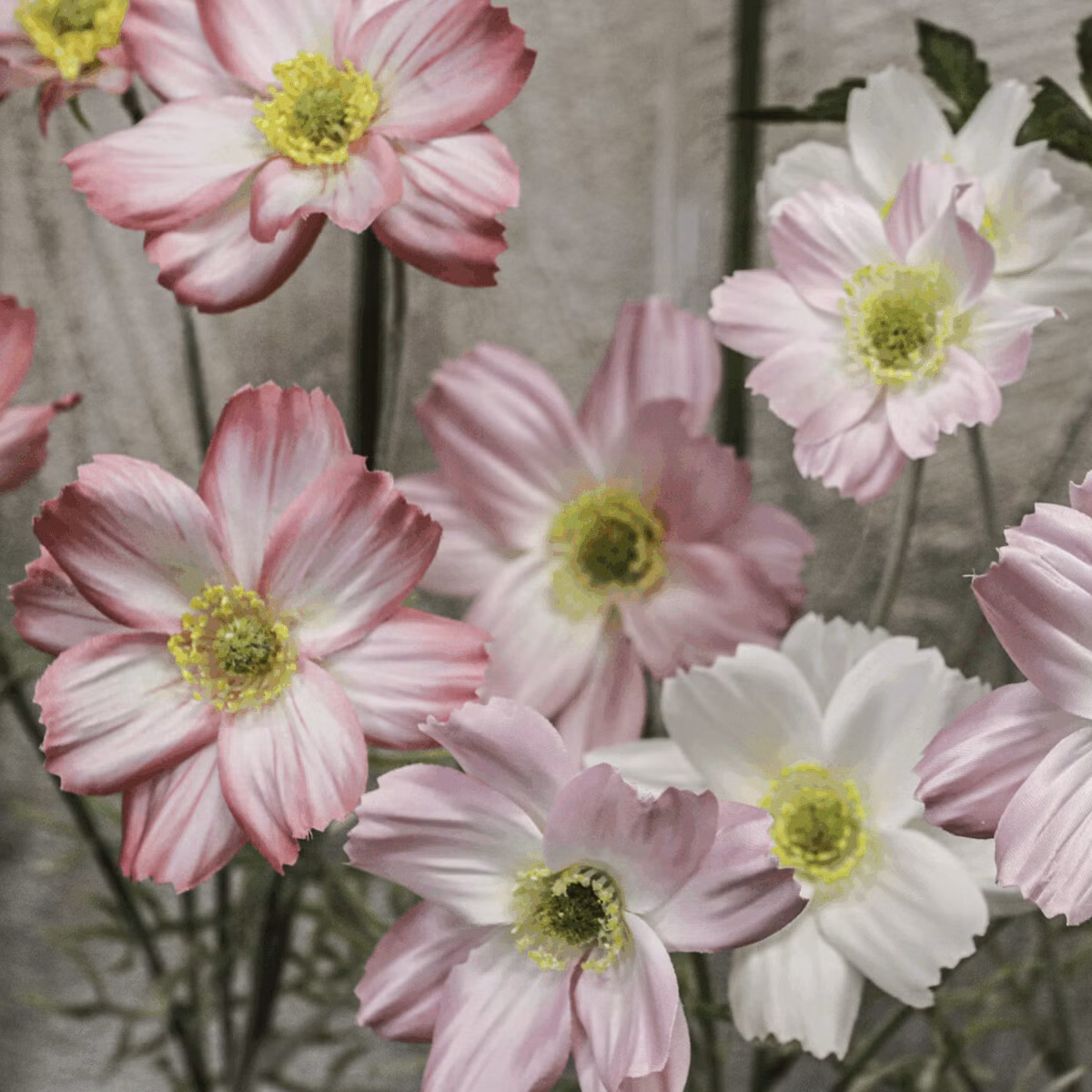 e6b842b3b9dbca340bfcb465b784ed3c