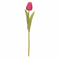 e6d08f697dcc5d17a3ffdd3769f5cdf5