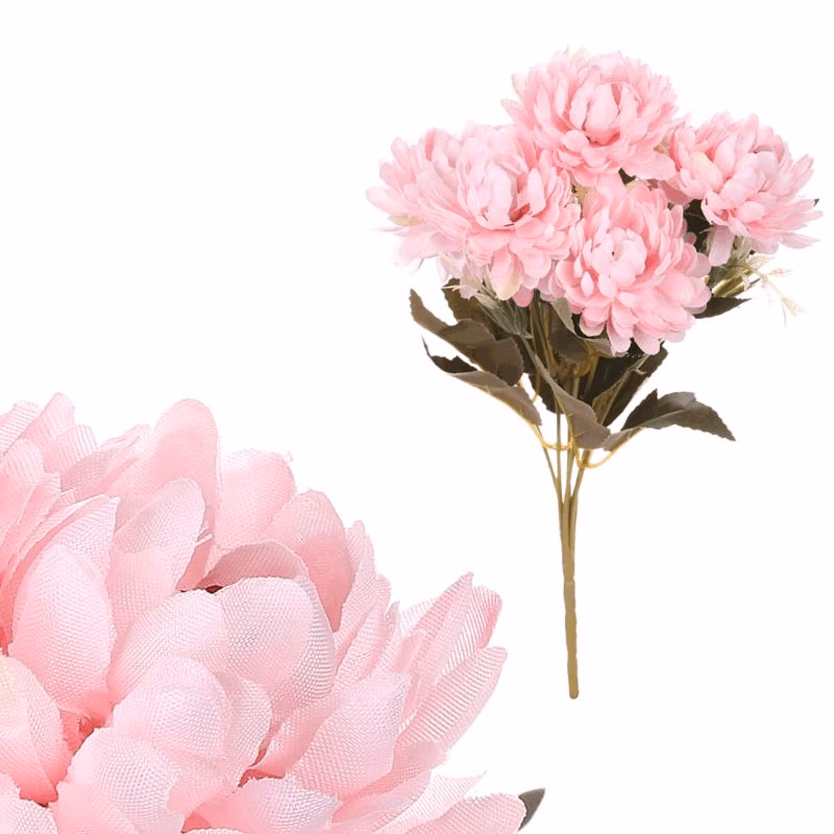 e7575dd85c0a146dae7c94c1873b0971