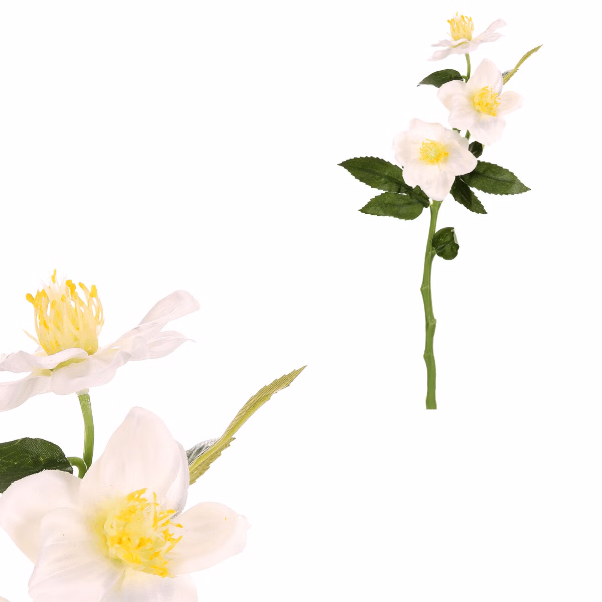 e7649d58b8f386e1d4d68a3b2e19370e