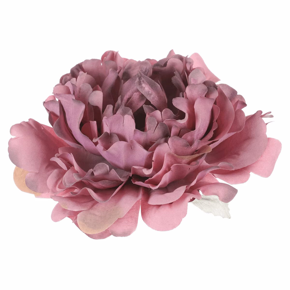 e81416c20e795defbd95e68790863c02