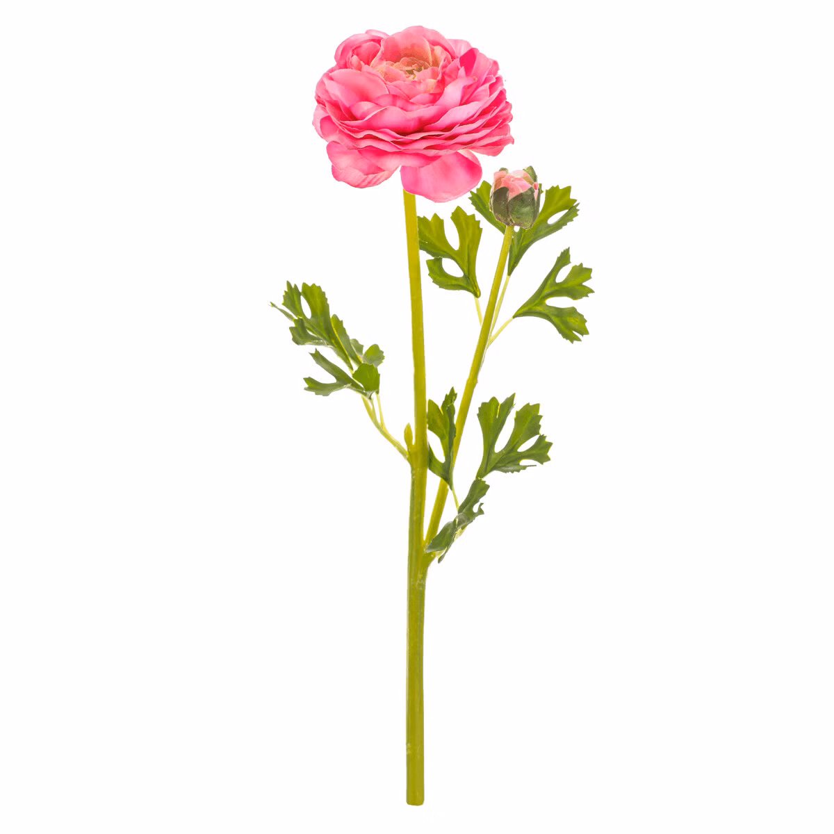 e9b4badaaccaa4f072a91b0cba842f07