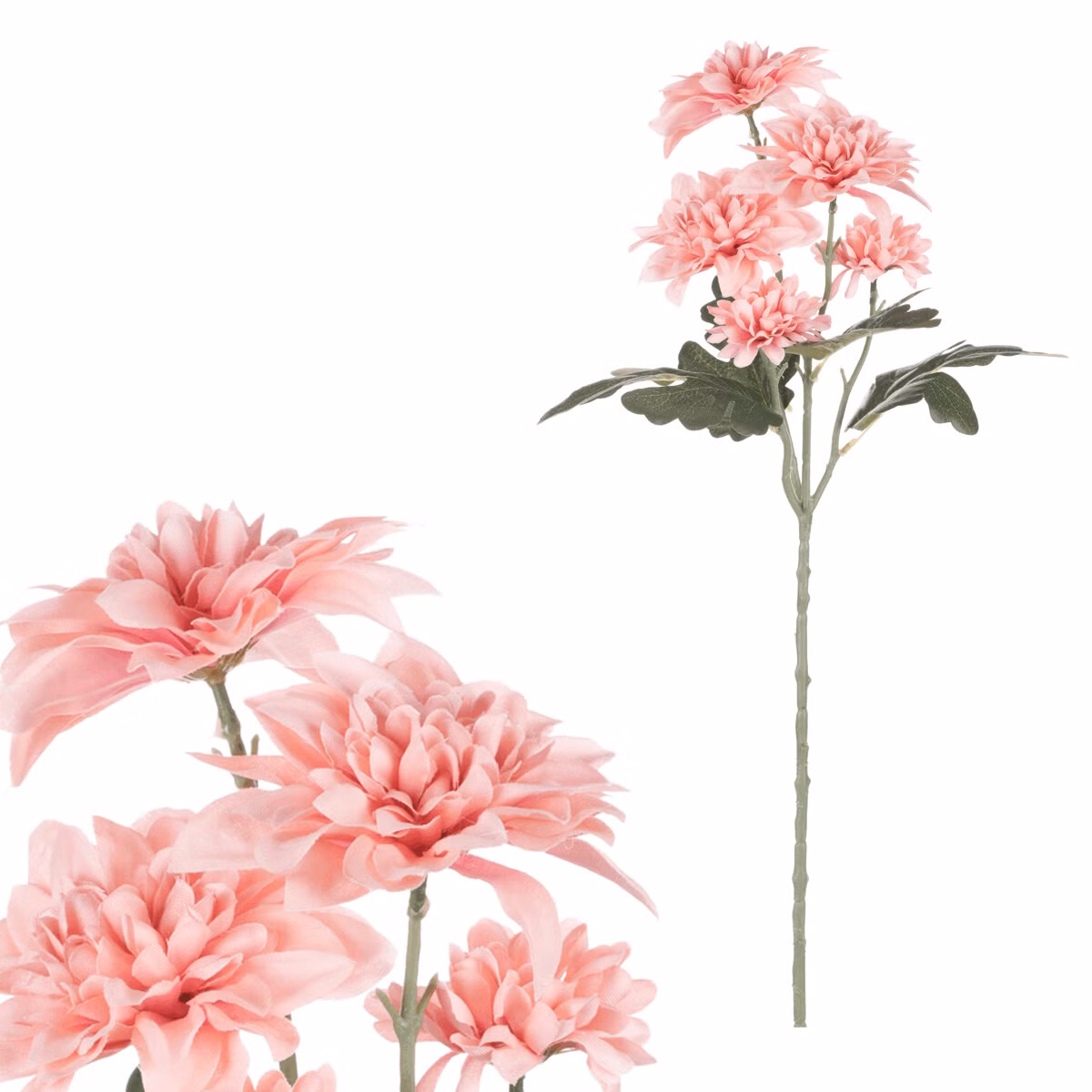 ebc9d005e1ba75495f73e9c8319e3fae