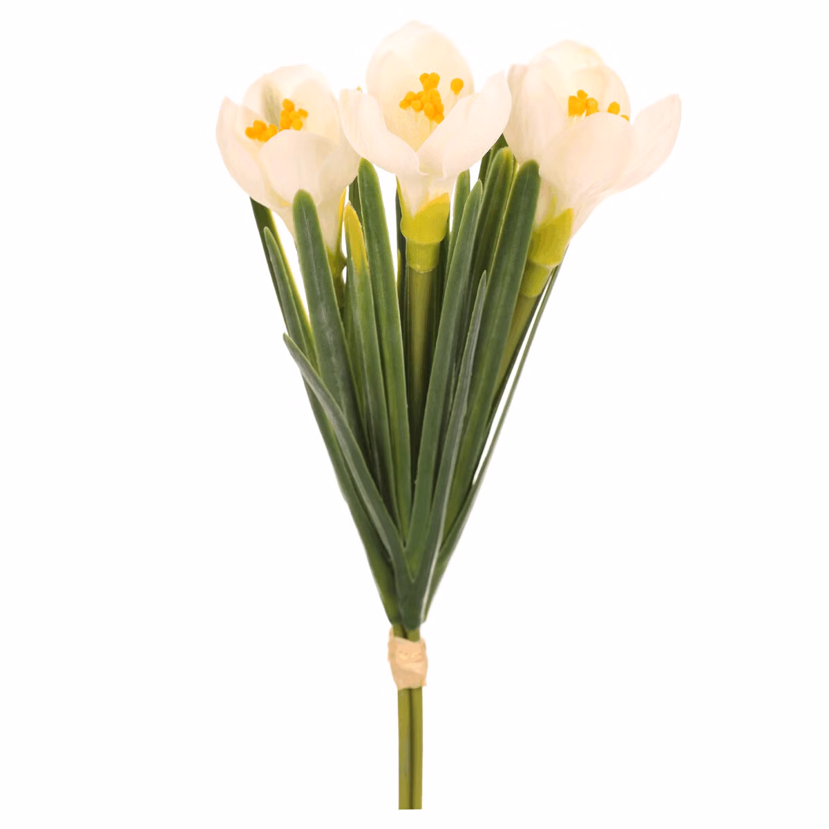 ee59d22744eee89b108793012af631b7