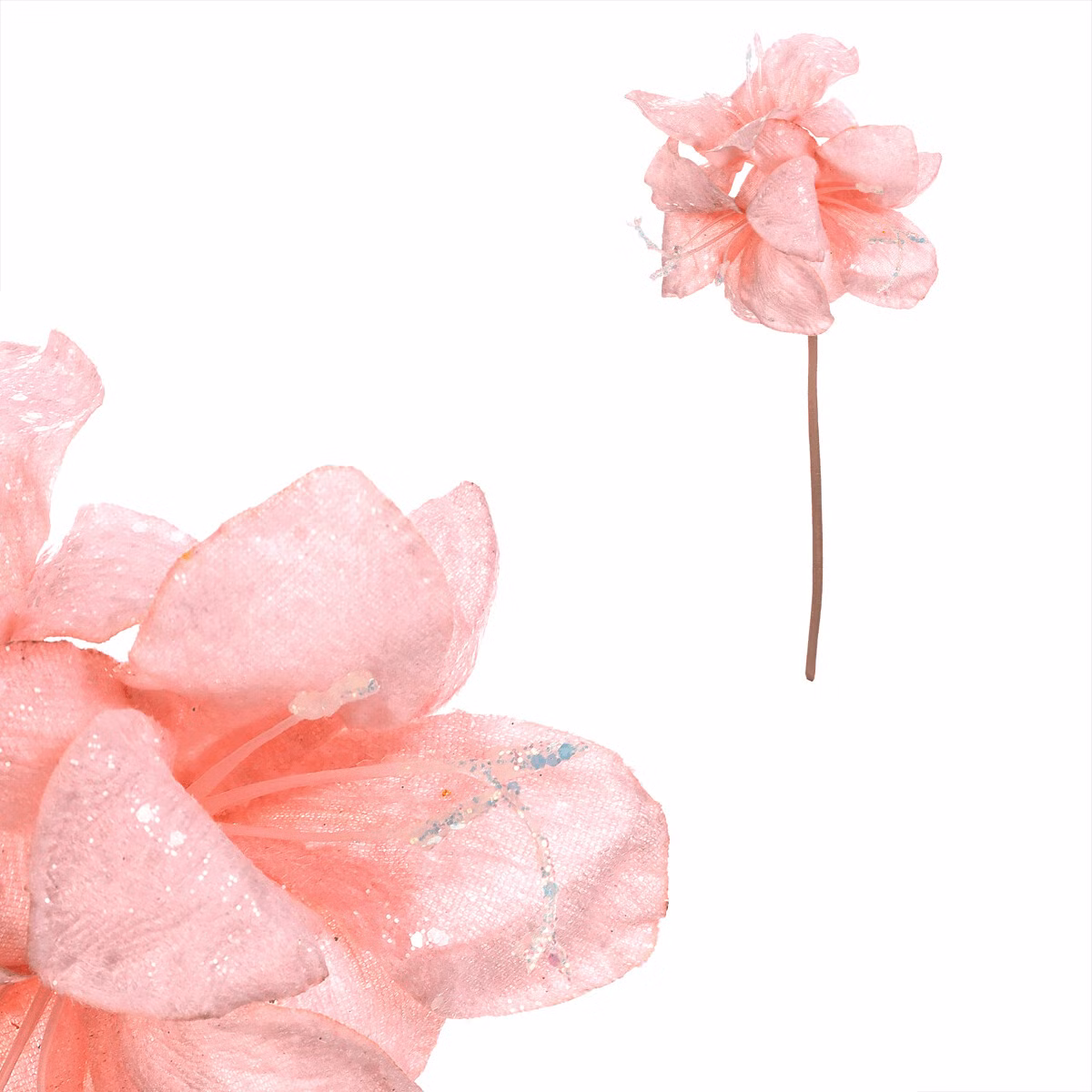 eeecea9d74d3d30079c71c62ad6a31c5