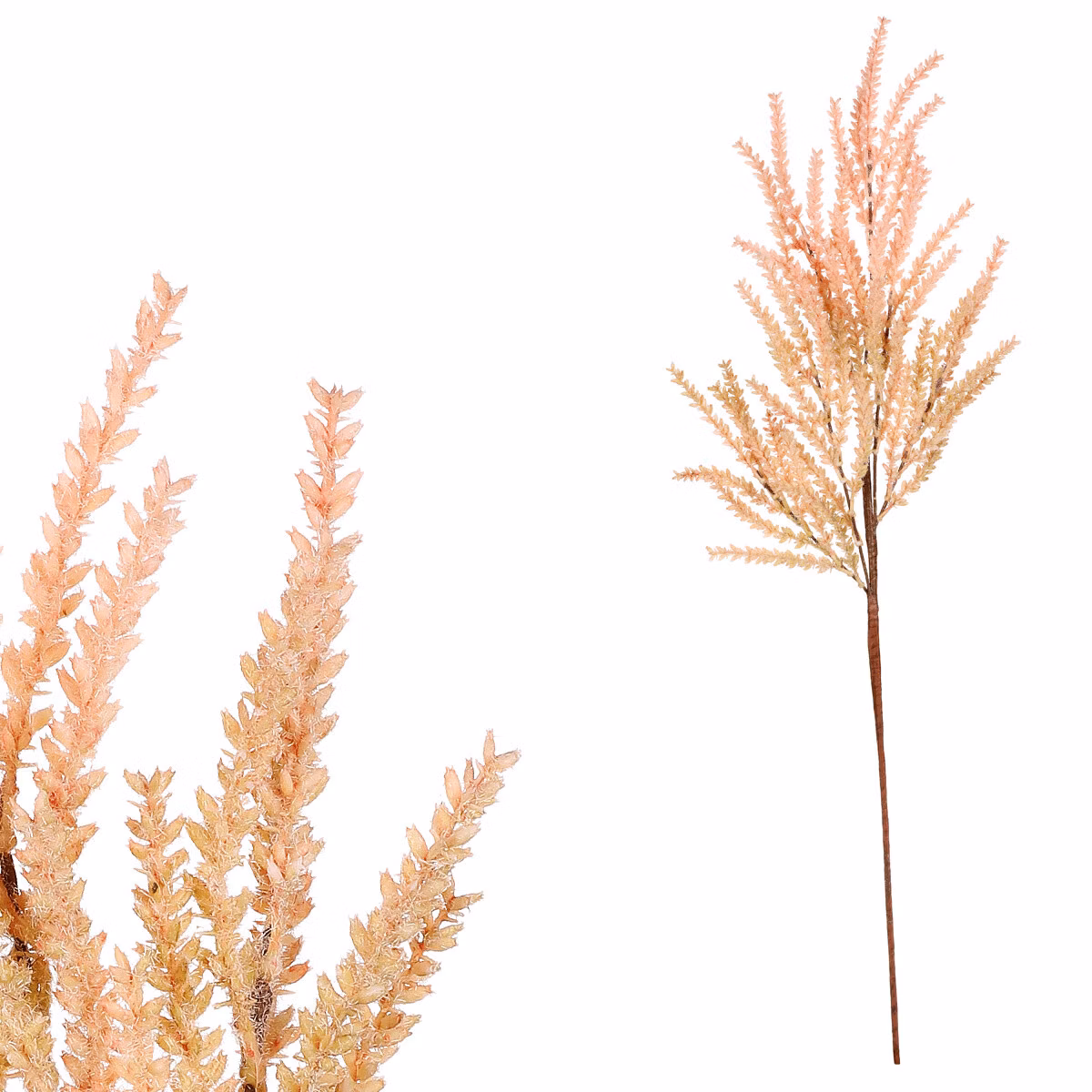 ef8ac6dd8dc7a5e54bd059126bc517c4