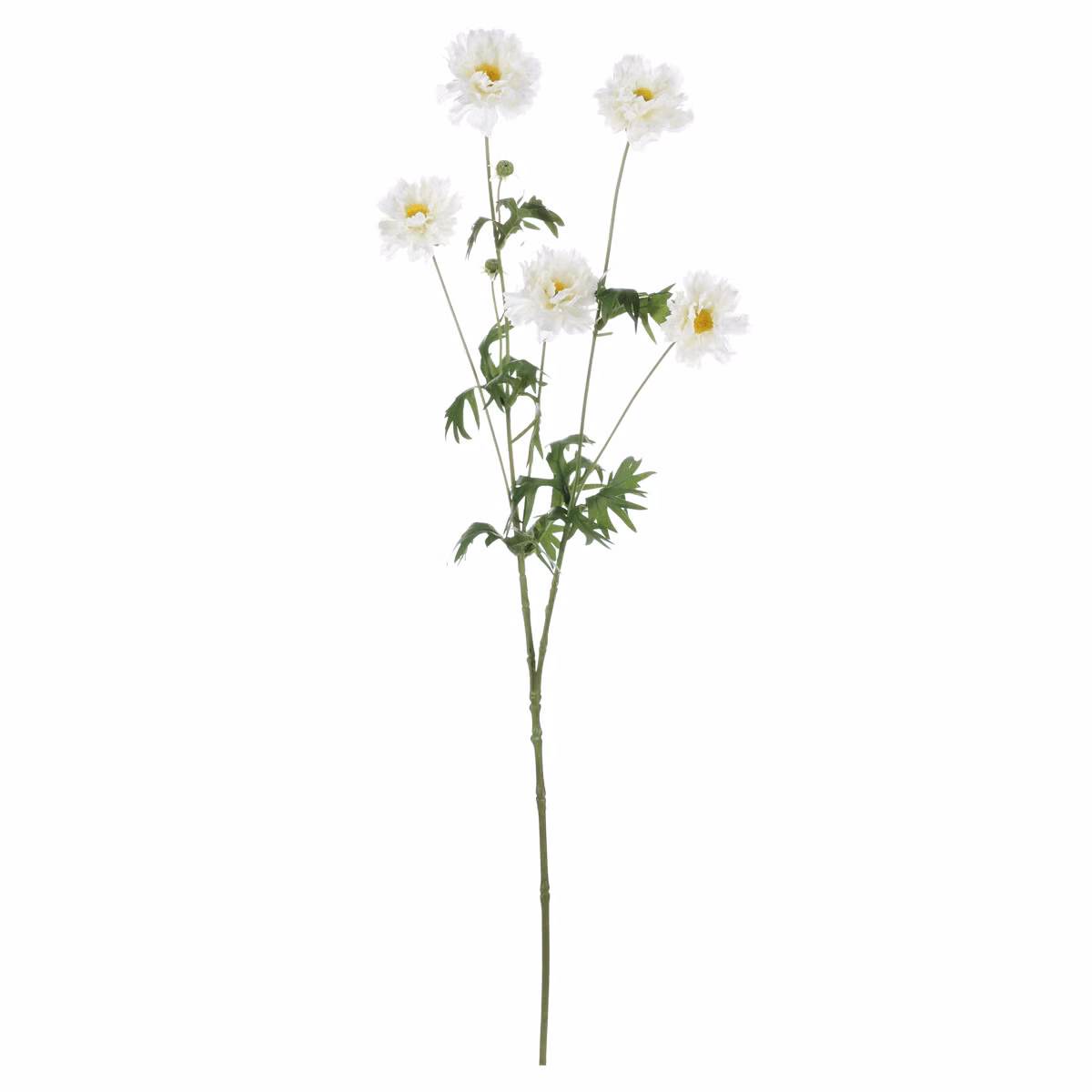 f2c282f52a180806a5b4fca2c2feb19e