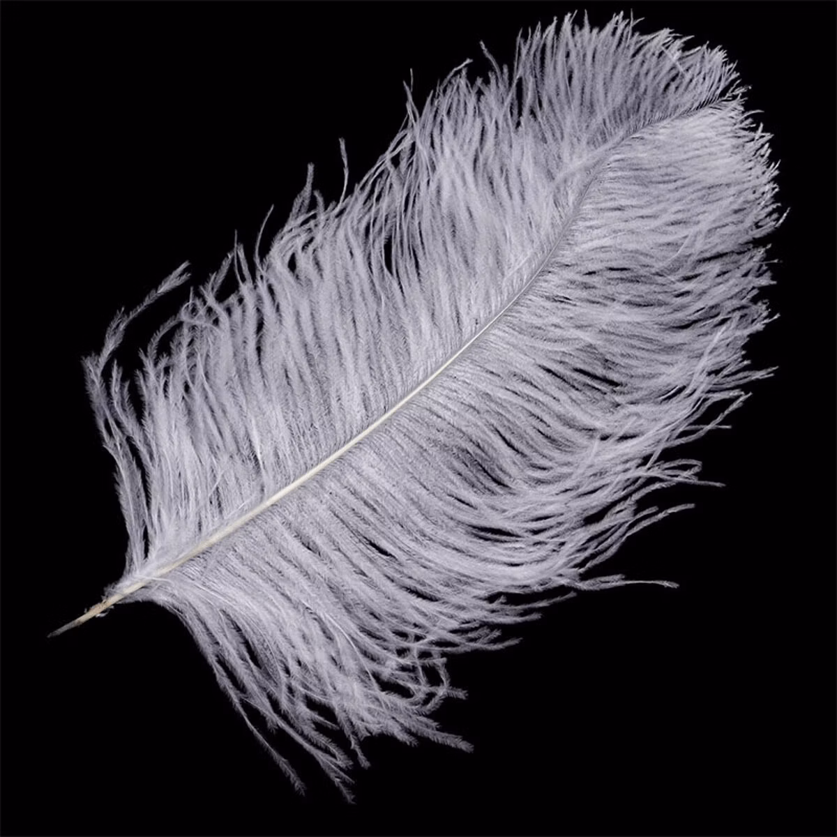 f37aa89a28c5992e3452b3349863640b