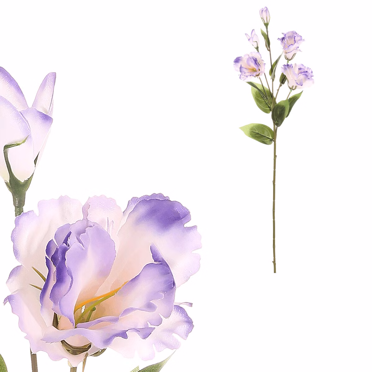 f5bd330383cd7e720d78bb8c3df4c4c4