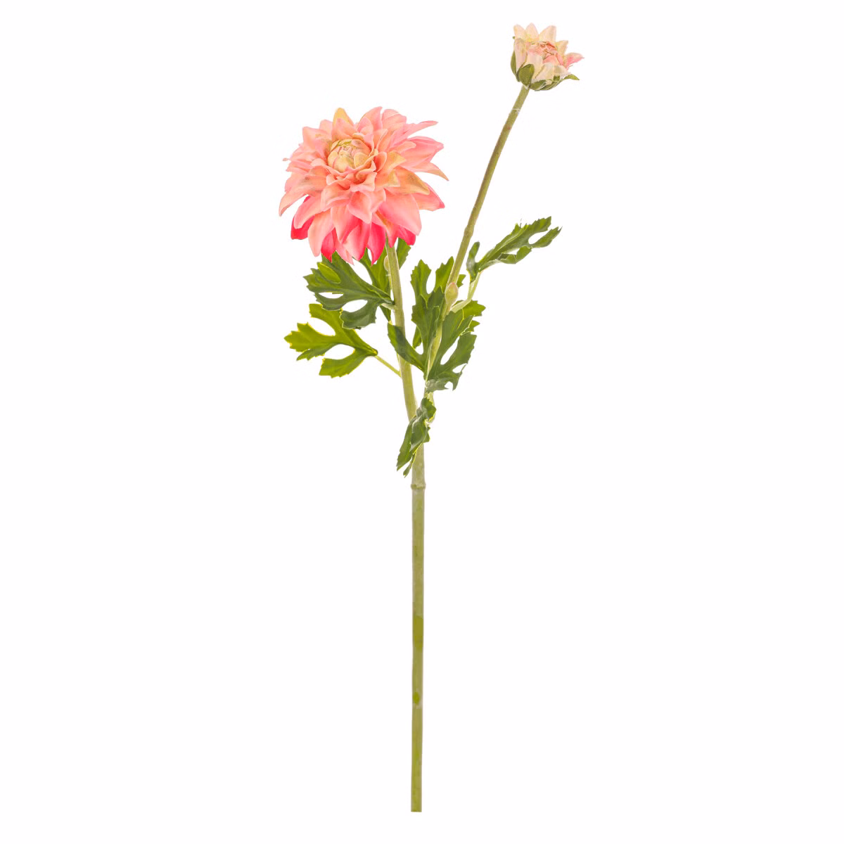 f6f4aa79802629b37d7f56e1d17faf90