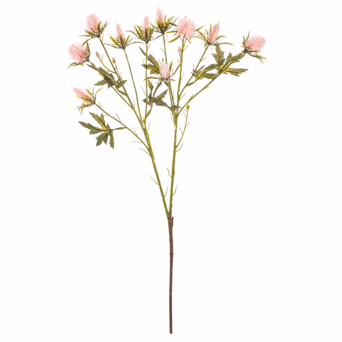 f9592376a6a98c47a29229615f50976a